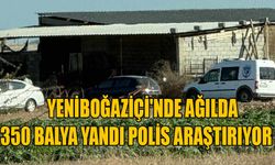 Yeniboğaziçi'nde ağılda 350 balya yandı polis araştırıyor