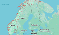 Norveç, Yasa Dışı Girişlere Karşı Rusya Sınırına Tel Örgü Çekmeyi Planlıyor