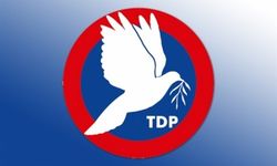 TDP: “Bu Olay (Yenidoğan) Aynı Zamanda İş Sağlığı Ve Güvenliği Krizidir”