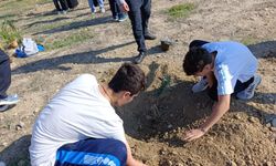 Hala Sultan İlahiyat Koleji'nden Zeytin Fidanı Dikme Etkinliği