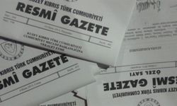 Hellimle ilgili değişiklikler Resmi Gazetede yayımlandı