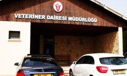 Veteriner Dairesi Müdürlüğü’nden üreticilere duyuru