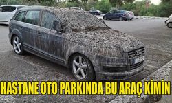 Hastane oto parkında bu araç kimin