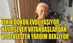 Yıkık dökük evde yaşıyor hayırsever vatandaşlardan ve devletten yardım bekliyor