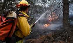 California'daki yangınlar 24 günün ardından kontrol altına alındı