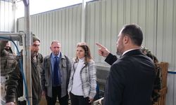 Tarım Bakanı Çavuş, Yedidalga’da Küçükbaş Hayvan Üretim Çiftliğini Ziyaret Etti