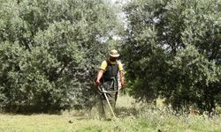 LTB’den Bölgesel Temizlik Öncesi Arsa Ve Arazi Sahiplerine Çağrı