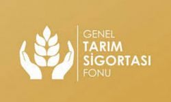 Patates Üreticilerine Duyuru… Genel Tarım Sigortası Fonu Listeleri Asıldı