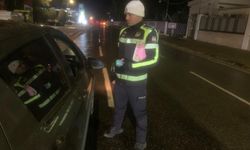 Trafik denetimlerinde 290 sürücü rapor edildi, 2'si tutuklandı...32 araca trafikten men