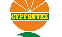 Cypfruvex’ten üreticilere duyuru: Valensiya türü portakallar için sıkma tesisi başvuruları başladı
