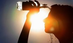 Dünya Meteoroloji Örgütü: Önümüzdeki beş yıl sıcaklıklar rekor seviyede seyredecek