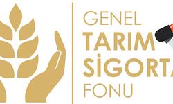 Düşük ve Brucella tazminatları ödendi