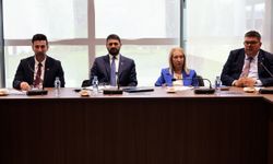 İdari, Kamu ve Sağlık İşleri Komitesi üç tasarıyı görüştü