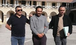Metehan'da yakalanmıştı: Bir ayı aşmayacak süreyle cezaevine gönderildi