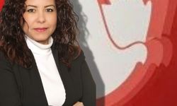 TDP: “Sıradan bir vaka değil toplumsal güvenlik krizi”