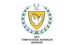 Doğrudan Gelir Desteği avans ödemeleri üreticilerin hesaplarına yatırıldı