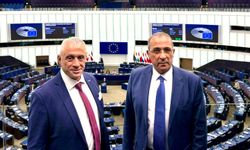 Cumhuriyet Meclisi Avrupa Parlamentosu heyeti, Strazburg’ta temaslarda bulundu