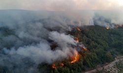 Tunç: “Orman yangınlarıyla ilgili 39 kişi tutuklandı”