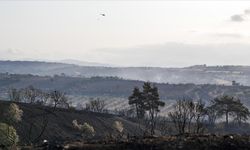 Çanakkale'de büyük oranda kontrol altına alınan yangına müdahale 2. gününde sürüyor