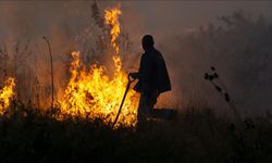 Karadağ'dan orman yangınlarına müdahale için uluslararası yardım talebi
