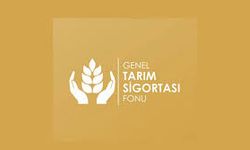 2025 İlkbahar Patates beyanları askıya alındı