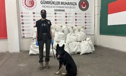 Kapıkule'deki iki operasyonda 245 kilo 932 gram esrar ele geçirildi