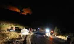 Türkiye’de yangınlarla mücadele sürüyor