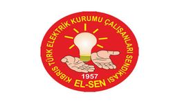 EL-SEN elektrik kesintilerini duyuran internet sitesine getirilen yayın yasağını eleştirdi