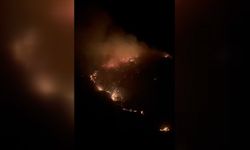 Marmara Adası'nda çıkan orman yangını kontrol altına alındı