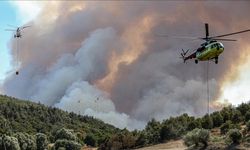 Bursa ve Hatay'daki orman yangınları