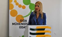 Gıda Mühendisleri Odası’ndan evde yapılan konserveler konusunda botulizm uyarısı