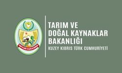 Valensiya ödemeleri yarın yapılıyor