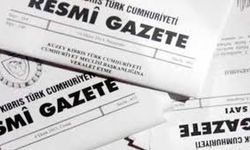Bakanlar Kurulu, EL-SEN’in Teknecik’teki grevini 60 gün süreyle erteledi