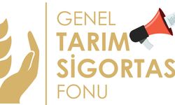 Büyükbaş düşük tazminatları ödendi