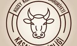 Kasaplar büyükbaş hayvan fiyatları konusunda hükümetten çözüm talep etti