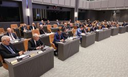 Meclis, "Kıbrıs Sorununa İki Devletli Çözüm Konusunda Karar Önerisi”ni oy çokluğuyla kabul etti