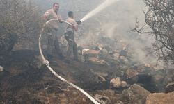 Boğazköy’de çıkan yangın, ekiplerin müdahalesiyle kontrol altına alındı