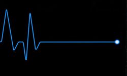 İki ani ölümle ilgili polisten açıklama