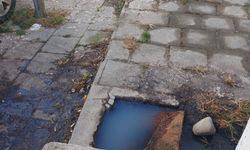 Lefke Çevre ve Ekoloji Derneği: “Lağım suları halk sağlığını tehdit ediyor"