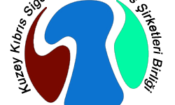 Sigorta ve Reasürans Şirketleri Birliği: “Deprem ve afet sigortası ulusal bir zorunluluktur”