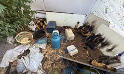 Gazimağusa Belediyesi Zabıta Birimi’nden suçüstü kaçak ürün operasyonu