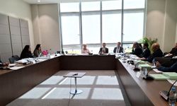 Dışişleri Bakanlığı bütçesi komiteden geçti...