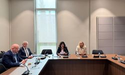 Meclis Hukuk, Siyasi İşler, Dışilişkiler ve Savunma Komitesi toplandı