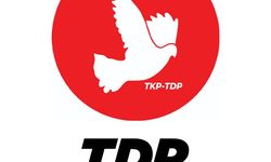 TDP: “Gazetecilere yönelik tehditler kabul edilemez”