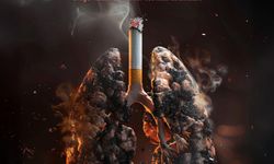 Tabipler Birliği: “Akciğer kanseri hâlâ en çok can alan kanser türü”