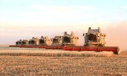 Kazakistan'da, bu yıl tahıl hasadı en yüksek seviyesine ulaştı