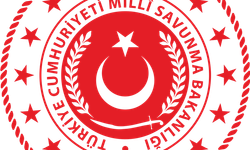 MSB, Gürcistan-Azerbaycan sınırında düşen askeri kargo uçağında 20 personelin bulunduğunu bildirdi