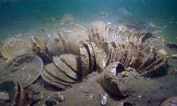 Güney Kore'nin batı kıyısında 600 yıllık kargo gemisi gün yüzüne çıkarıldı