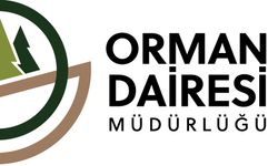 Orman Dairesi: Boğazköy'deki ağaç kesimi izinsiz yapıldı.. Yasal işlemler başlatıldı