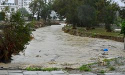 Sağanak devam ediyor, ekiplerin sahadaki çalışmaları sürüyor... Derelerin seviyelerinde ciddi düşüş var